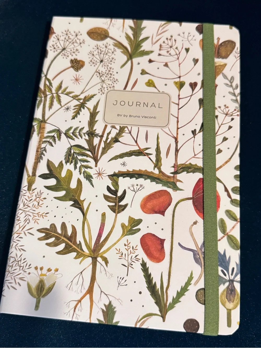 BV By Bruno Visconti Gift Set of Stationery in Greens & Flowers -Pen, 2 Journals